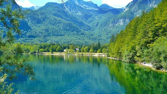 Lake Bohinj