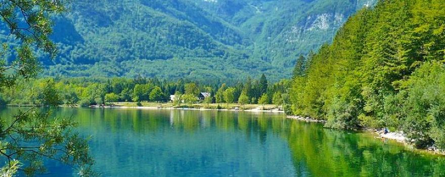 Lake Bohinj