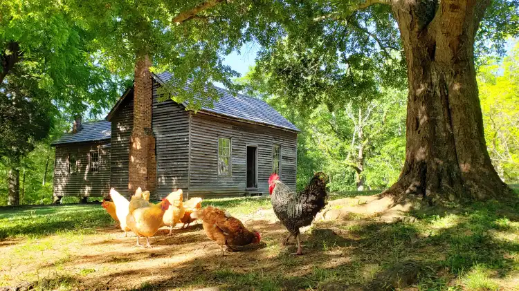 Hotel di Jones County