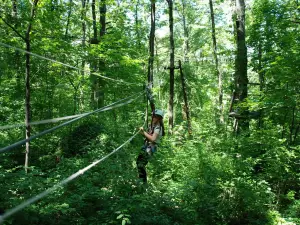 Skypark Parco Avventura