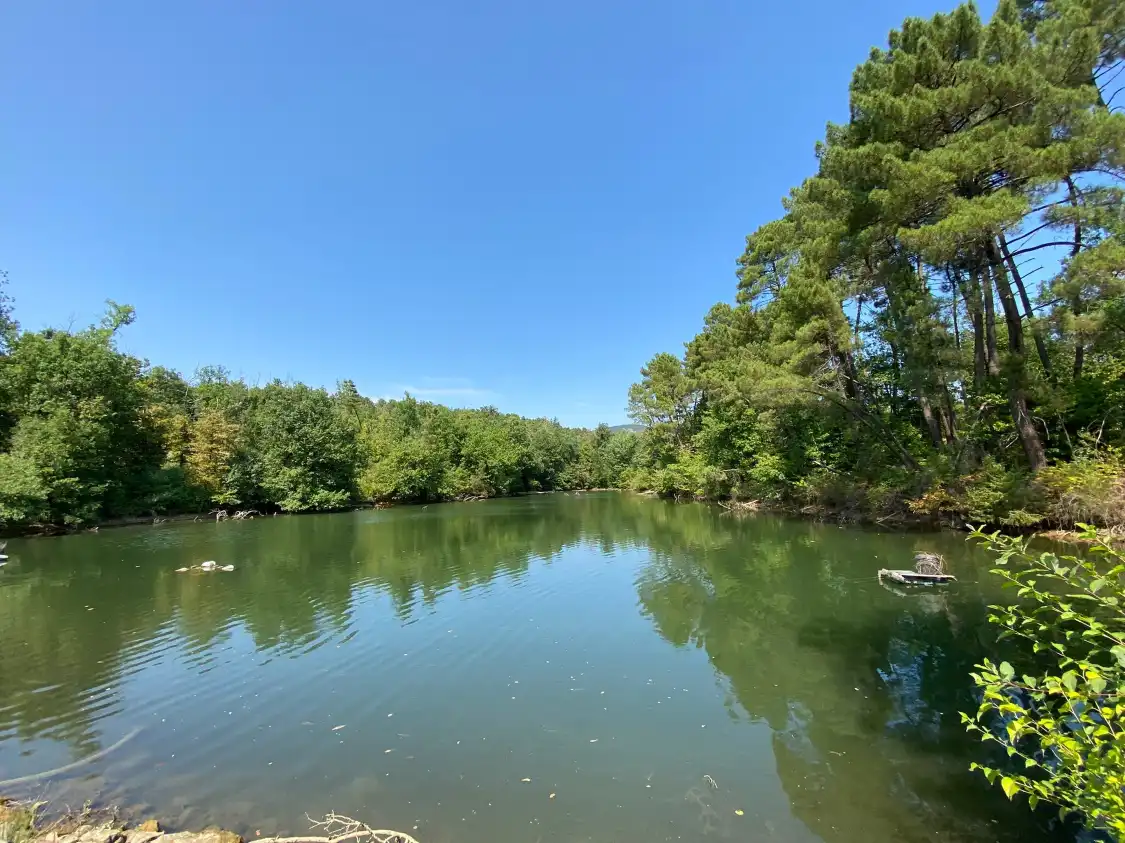 Hotels near 1o Parco Zoo della Fauna Europea