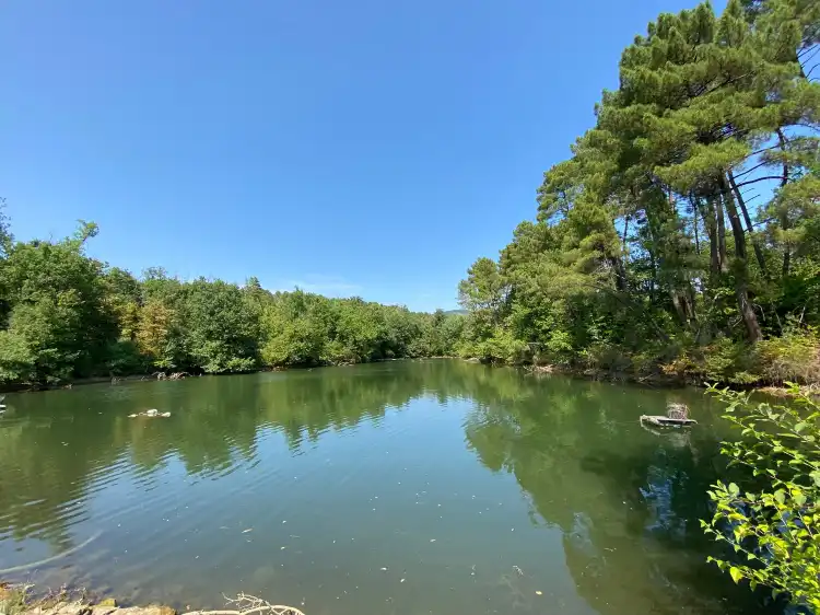 Hotels near 1o Parco Zoo della Fauna Europea