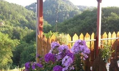 Lavender Farm Haloze