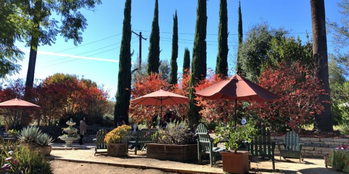 Arlington Garden