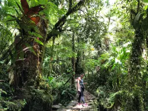 Biotopo del Quetzal