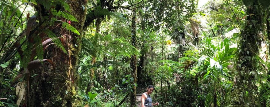 Biotopo del Quetzal