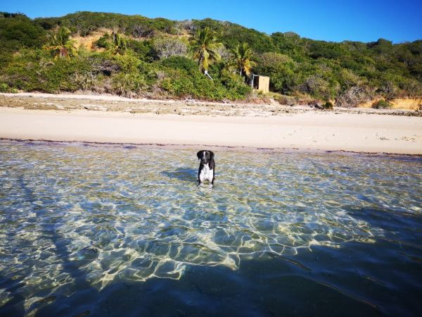 Flüge von Perth nach Vilanculos
