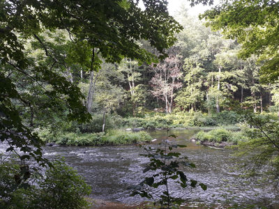 Westville Recreation Area
