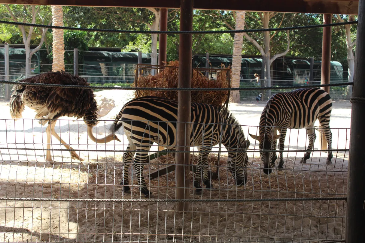 4_Hai Park Kiryat Motzkin