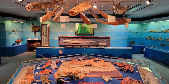 Kami Town Geo-Park and Ocean Culture Center