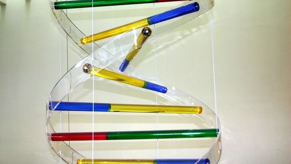 Valladolid Science Museum