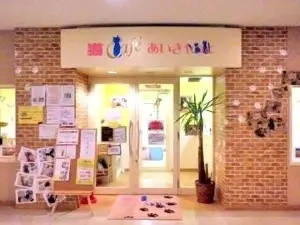 Cat cafe Ai Cat Fukushima