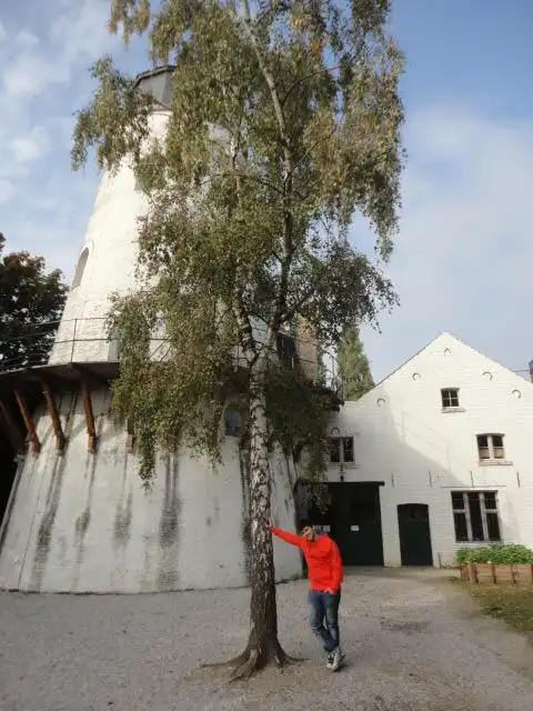 Hotels near Musee bruxellois du Moulin et de l'Alimentation