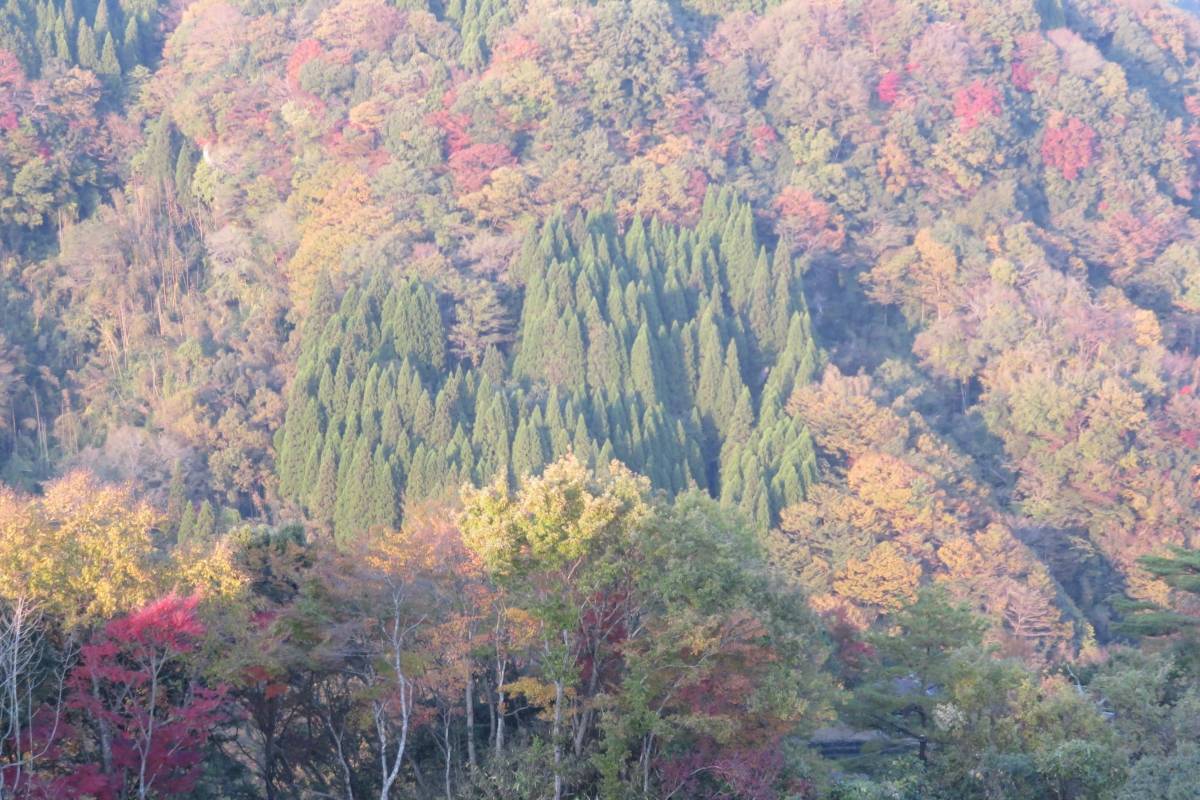熊本紅葉景點 | 蘇陽峽