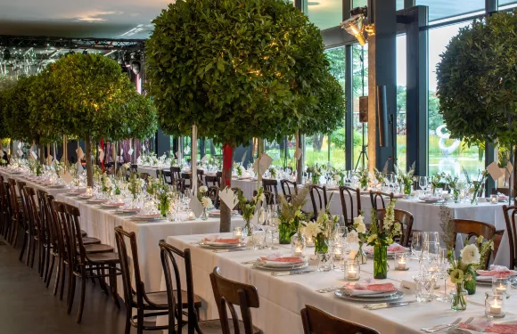 拉珀斯維爾-約納