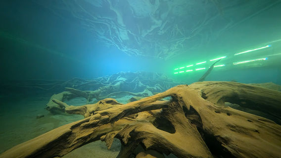 Uozu Buried Forest Museum