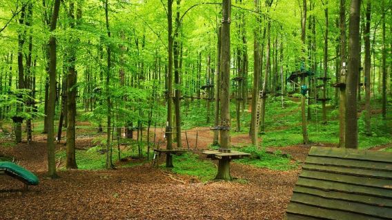 Gorilla Park Vejle