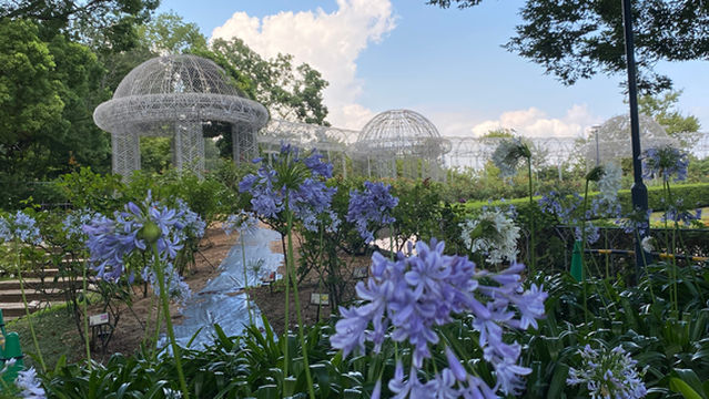 Odawara Flower Garden