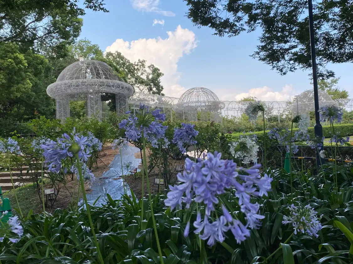 Hotels near Odawara Flower Garden