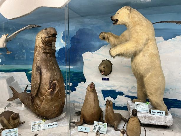 Tsuyama Natural Science History Museum
