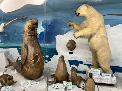 Tsuyama Natural Science History Museum