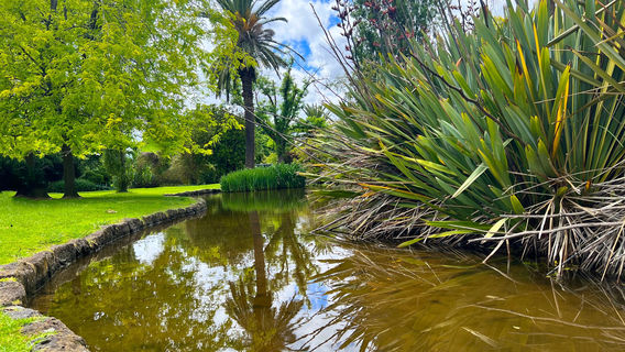 Hedgeley Dene Gardens
