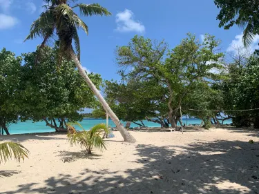 Rasdhoo