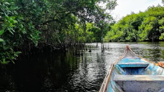 Ciénaga de la Caimanera