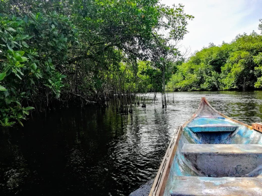 Ciénaga de la Caimanera