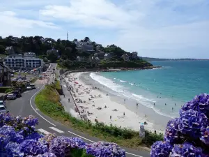 Plage de Trestrignel