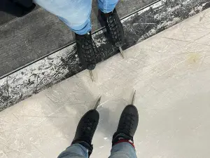 De Elfstedenhal