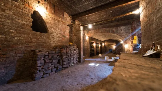 Williamson's Tunnels - Friends of Williamson's Tunnels (FoWT)