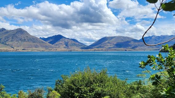 Twelve Mile Delta to Bob’s Cove Track