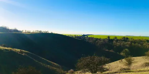 The Barton Hills National Nature Reserve