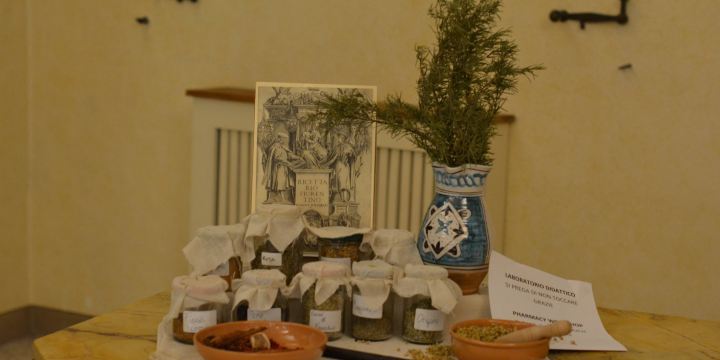 Museo Archeologico Spezieria di Santa Fina