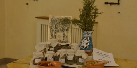 考古學博物館和聖菲納藥房