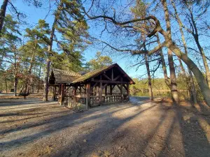 Brendan T. Byrne State Forest