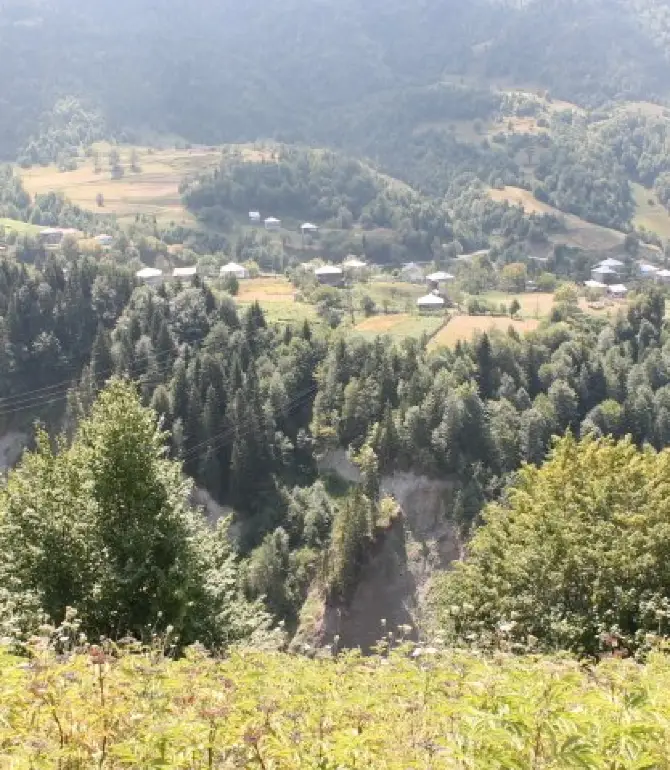 Danisparauli