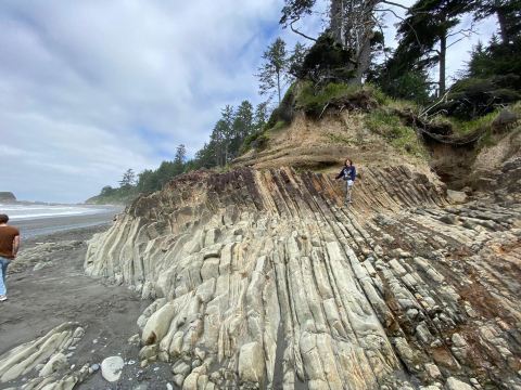 Kalaloch Beach 4