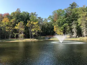 Al Lorenz Park
