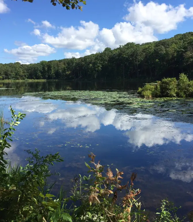 Rockaway Township