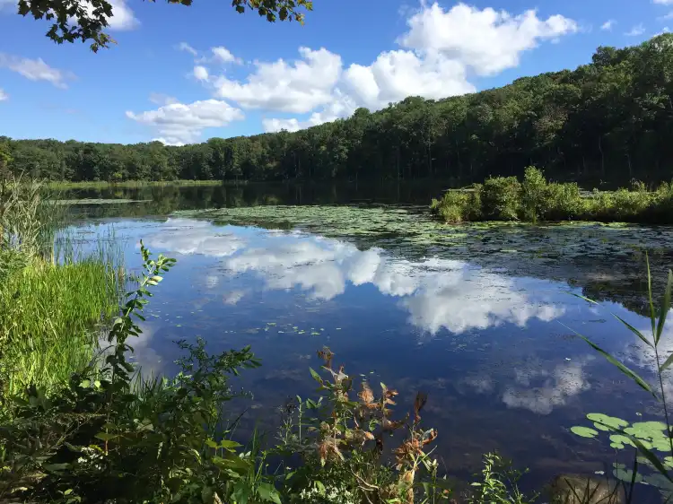 Hotels in Rockaway Township