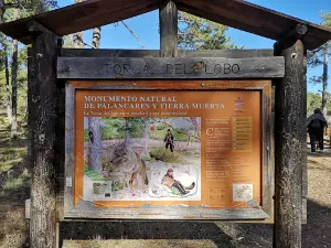 Torcas de Palancares y Tierra Muerta