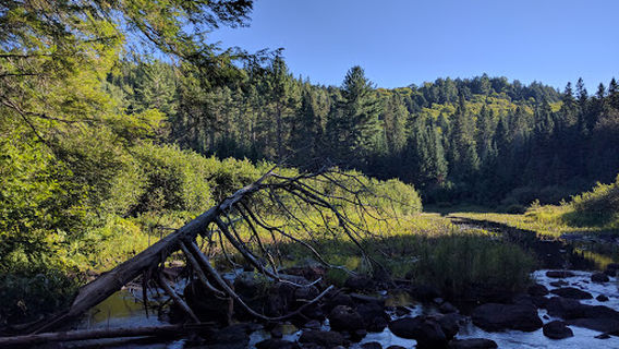 Track and Tower Trail