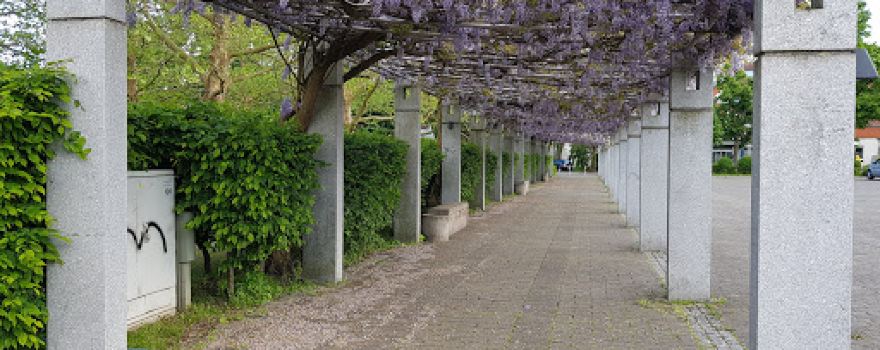 Bürgerpark Jockgrim