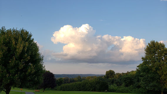 Newberry Township