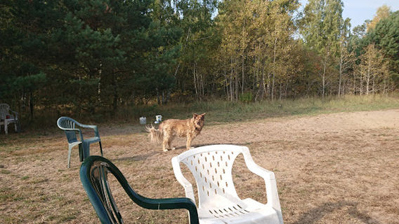 Hundeauslauf Berkenbrück