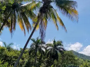 Campismo La Sierrita
