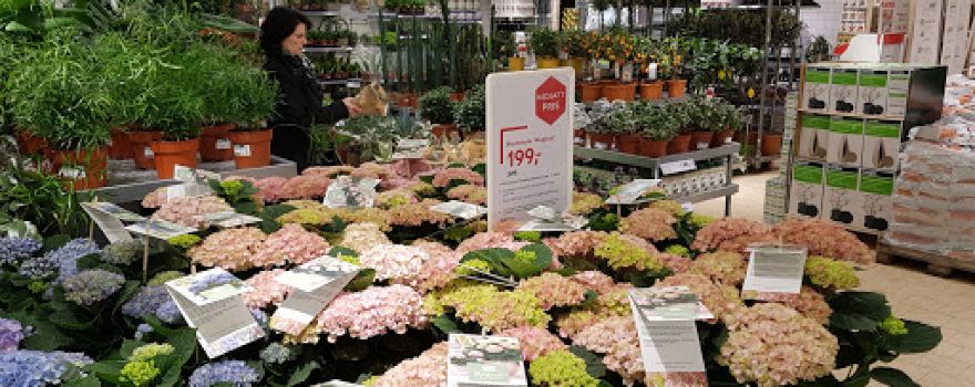 Plantasjen