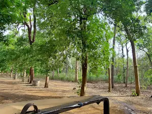 Chorkhamara Safari Gate